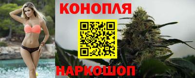 гашик Славгород