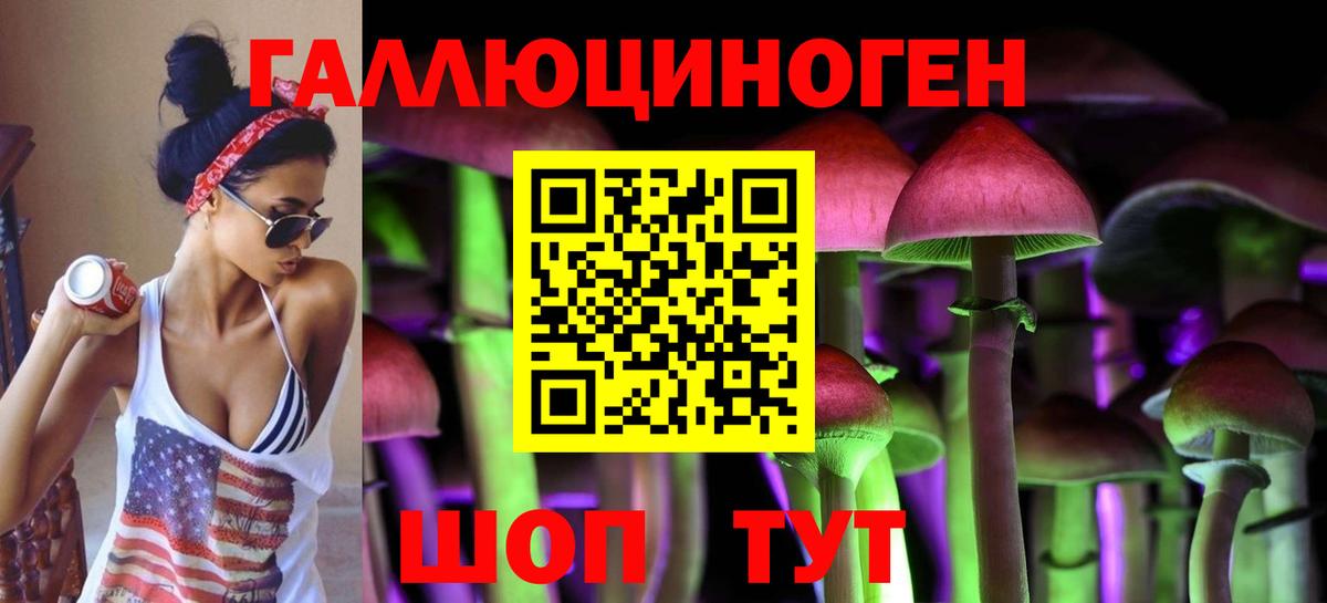 Псилоцибиновые грибы Cubensis Родники