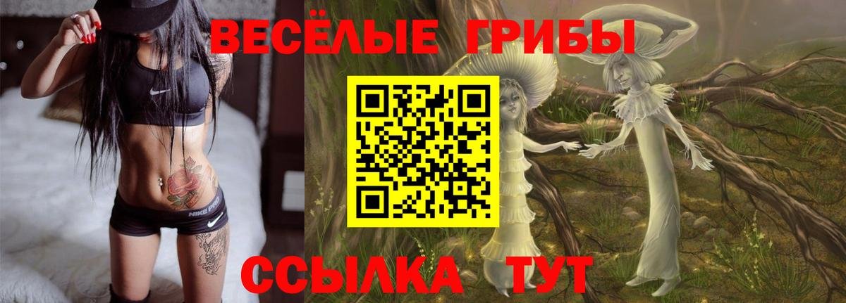 Родники  Псилоцибиновые грибы ЛСД  Вход с VPN 